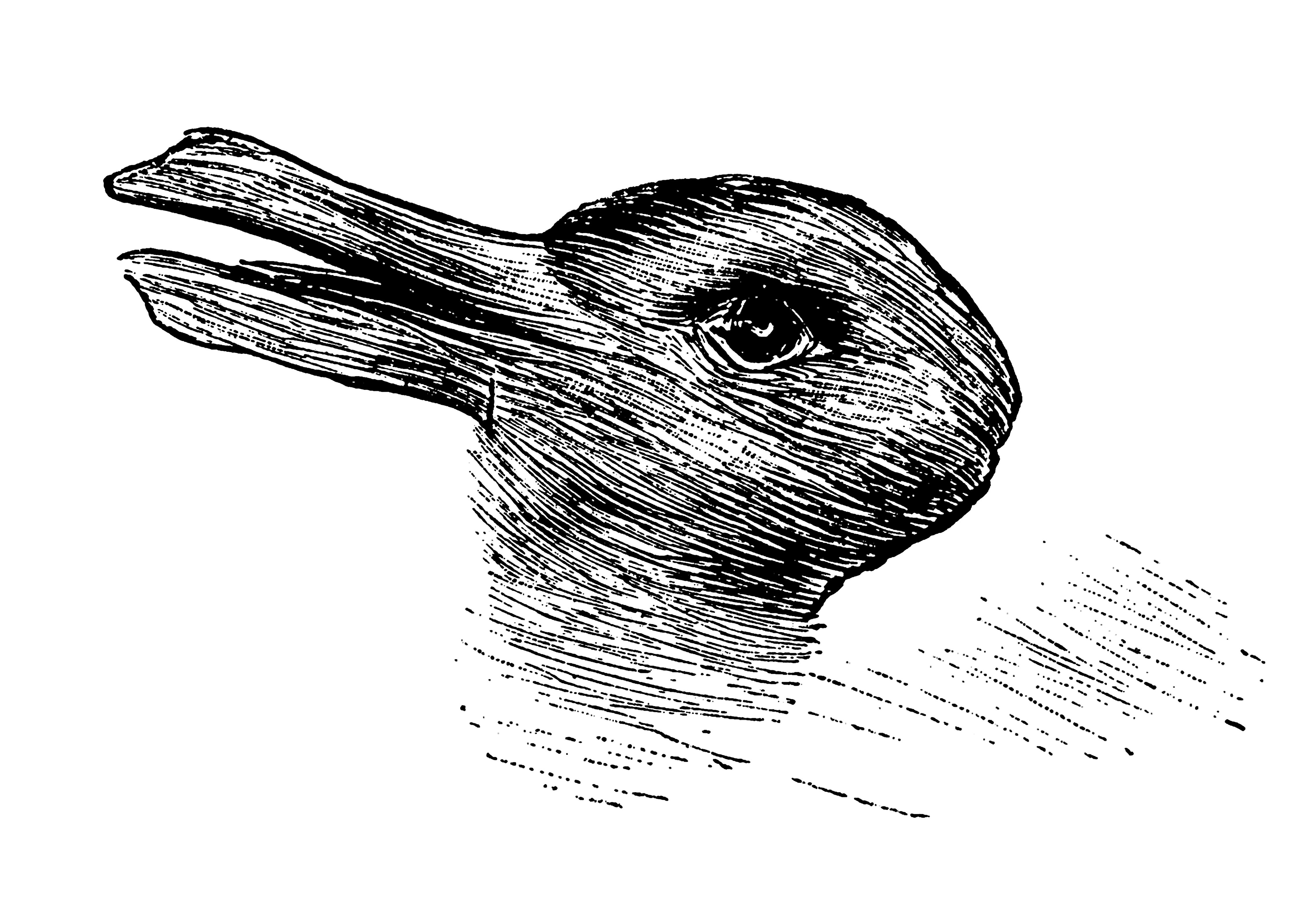 Duck-rabbit optical illusion.