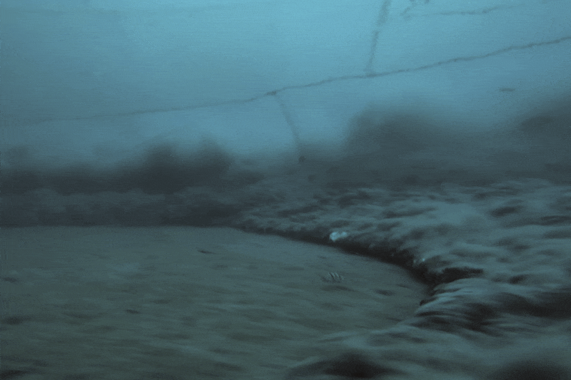Underwater view of a murky seabed.