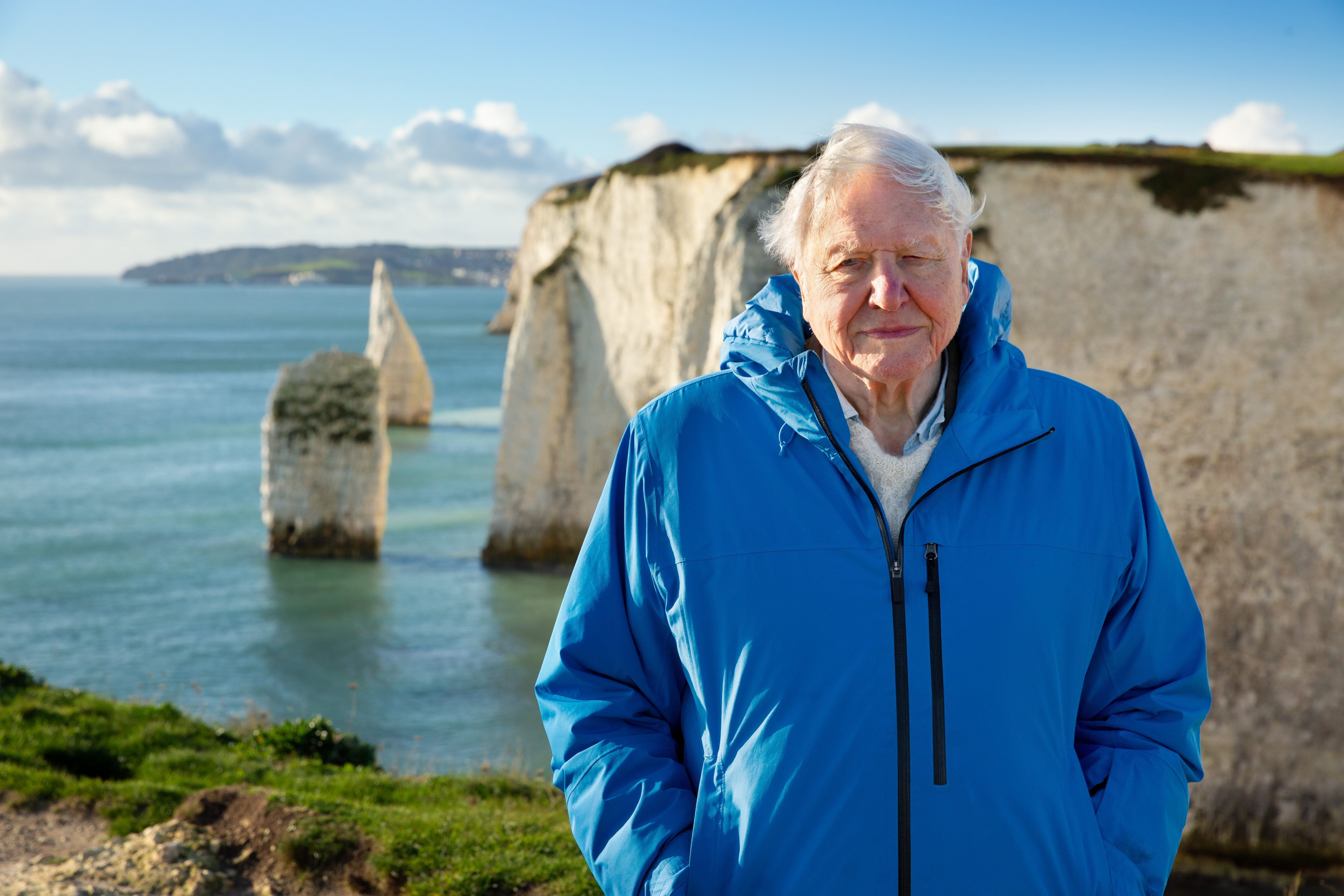 David Attenborough overlooking the ocean from a cliff.